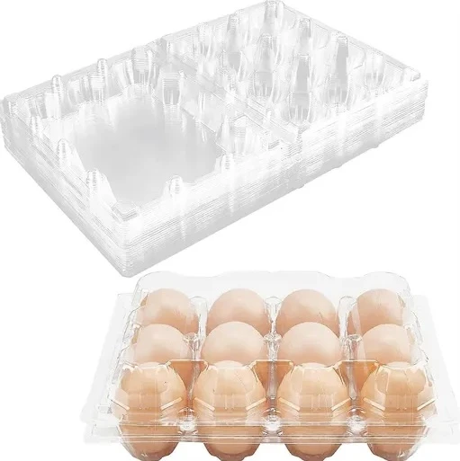 Disposable Food Container Disposable Food Container